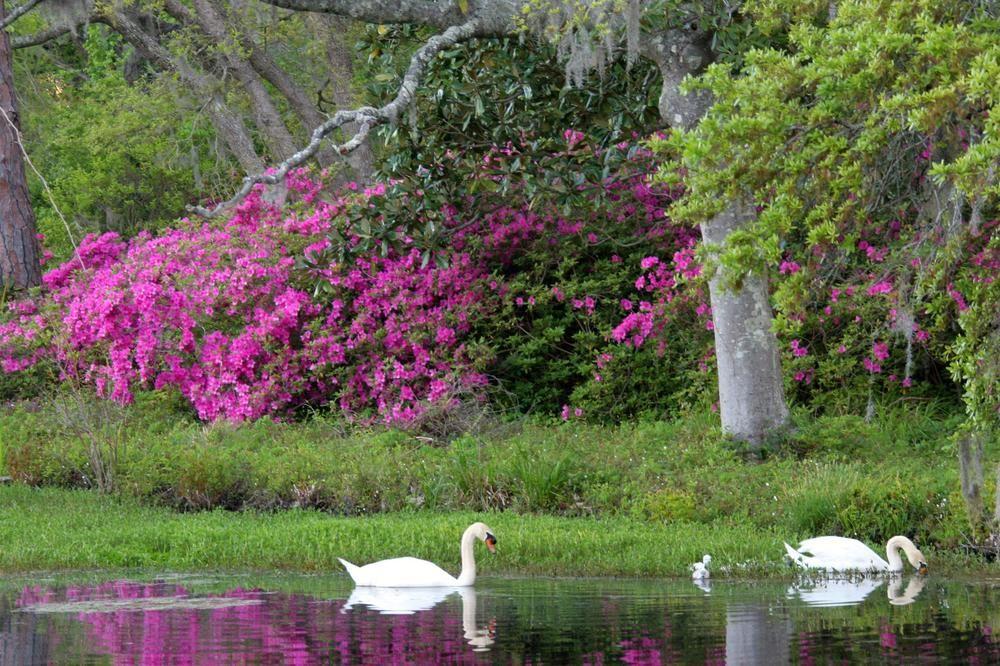 Live Holiday Intensive - Weeklong Certification Program - Wilmington, NC - Dec. 27, 2026 - Jan. 1, 2027 - Image 10