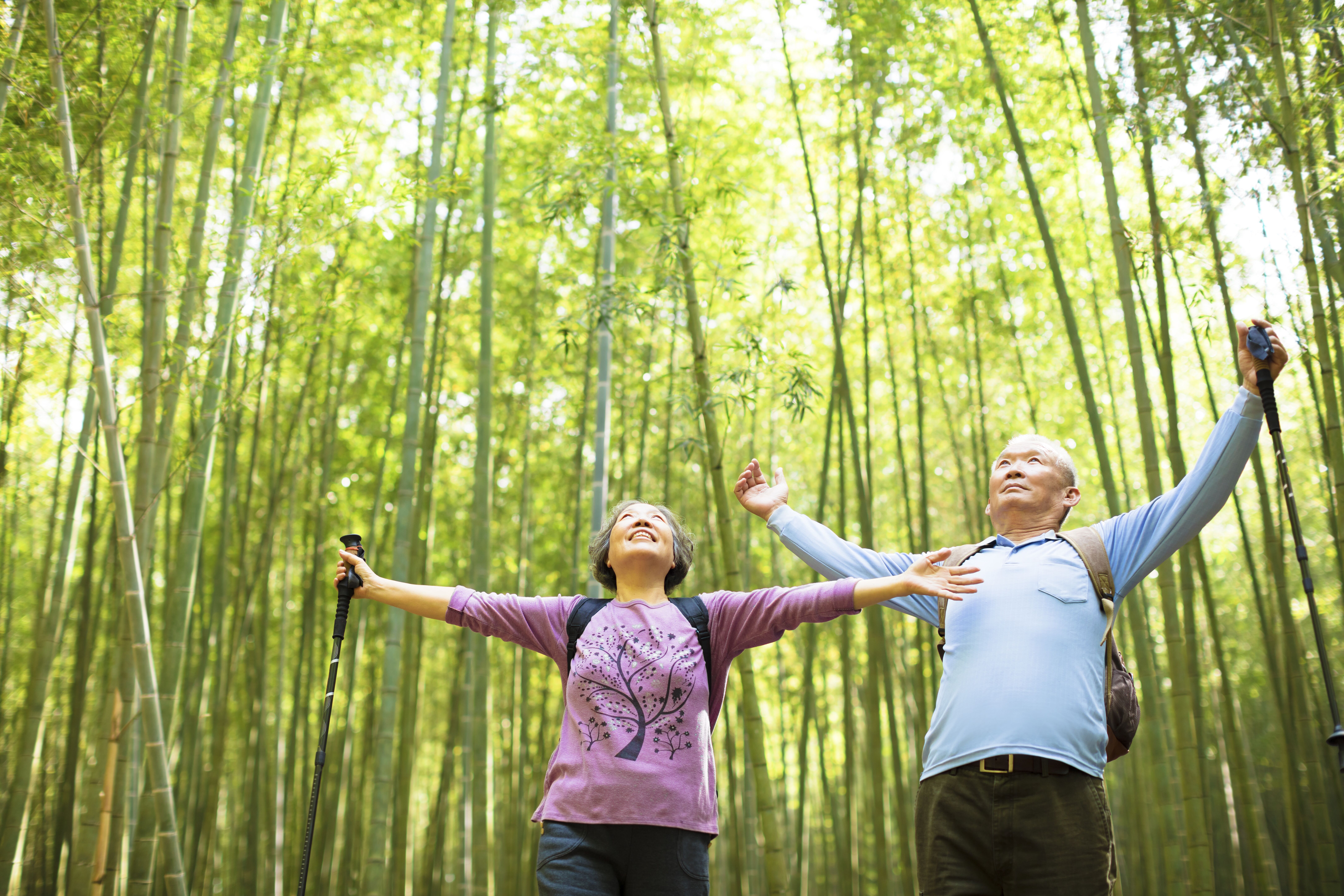 Senior couple stretching in a bamboo forest