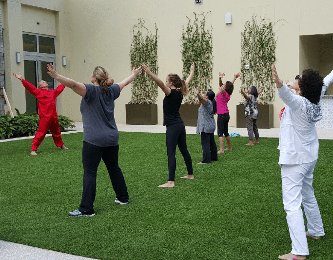 Pre-Recorded Webinars - 1 Hr Qigong Classes - Unlimited - Image 2