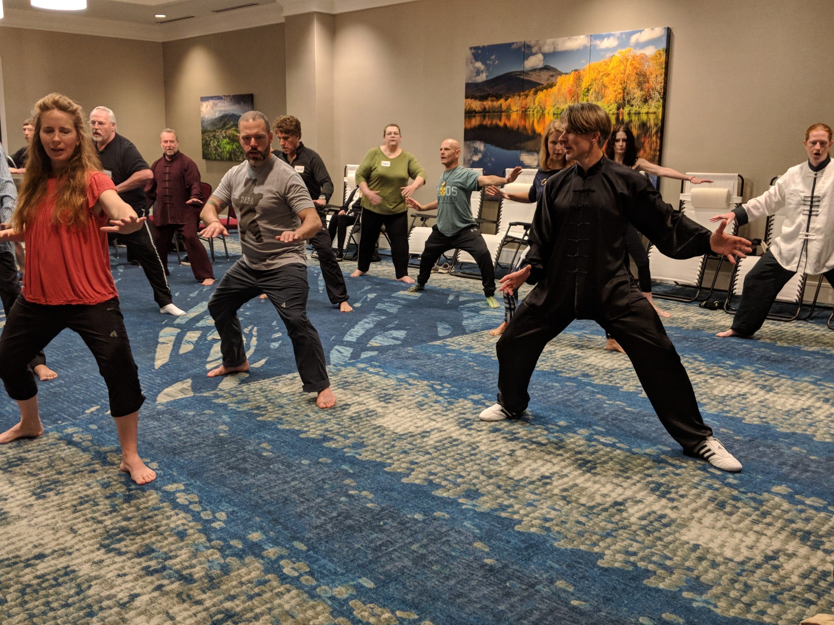 Asheville Live CEU Workshop with David J. Coon Medical Qigong Master of Qigong Awareness, LLC