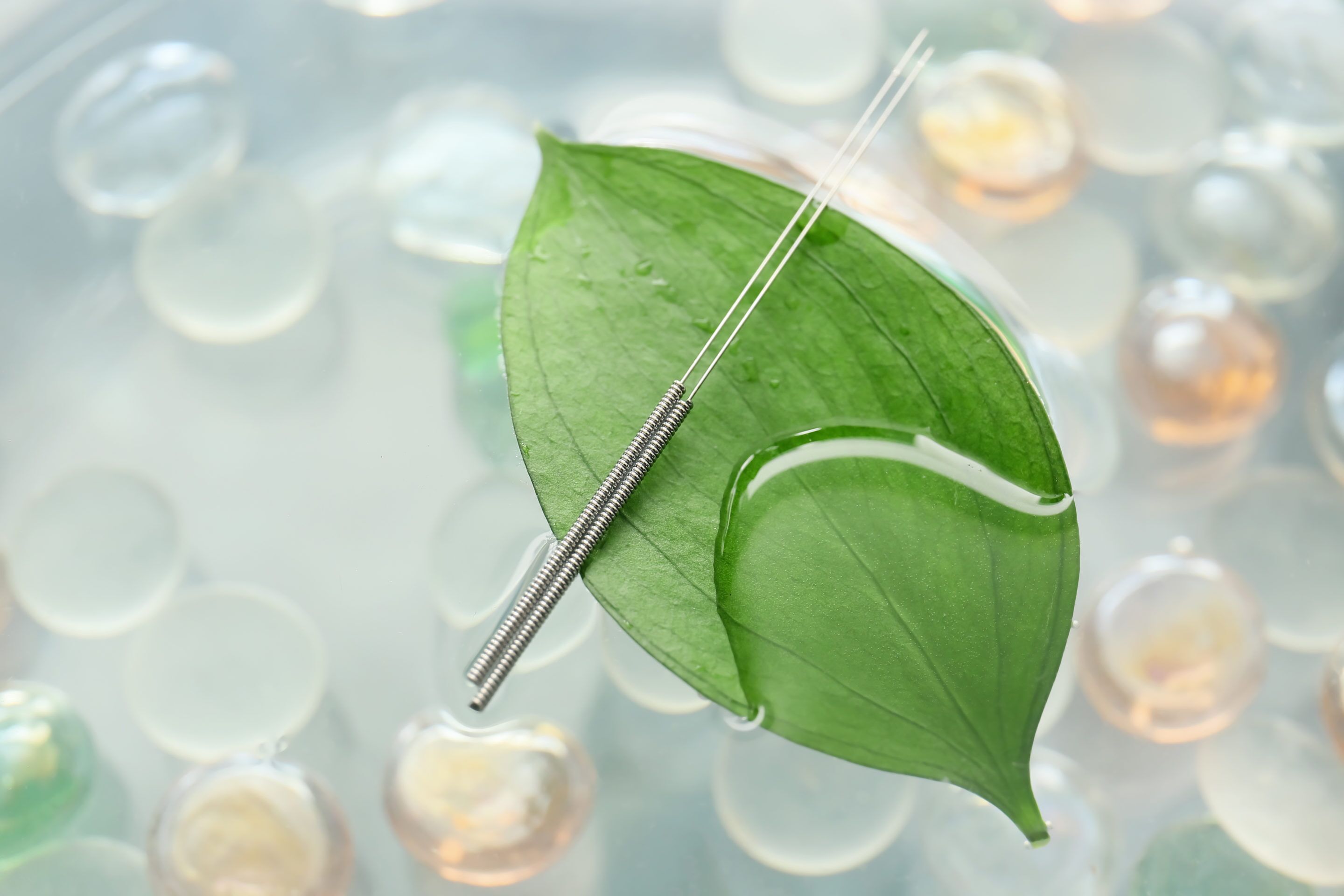 Acupuncture needles on a leaf floating in water