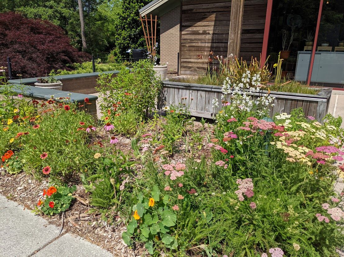 The flower garden at the Halyburton Park Event Center
