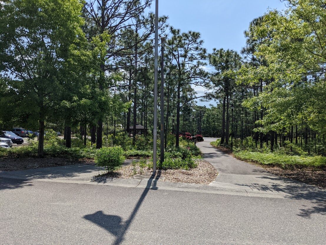 A path going through trees at Halyburton Park