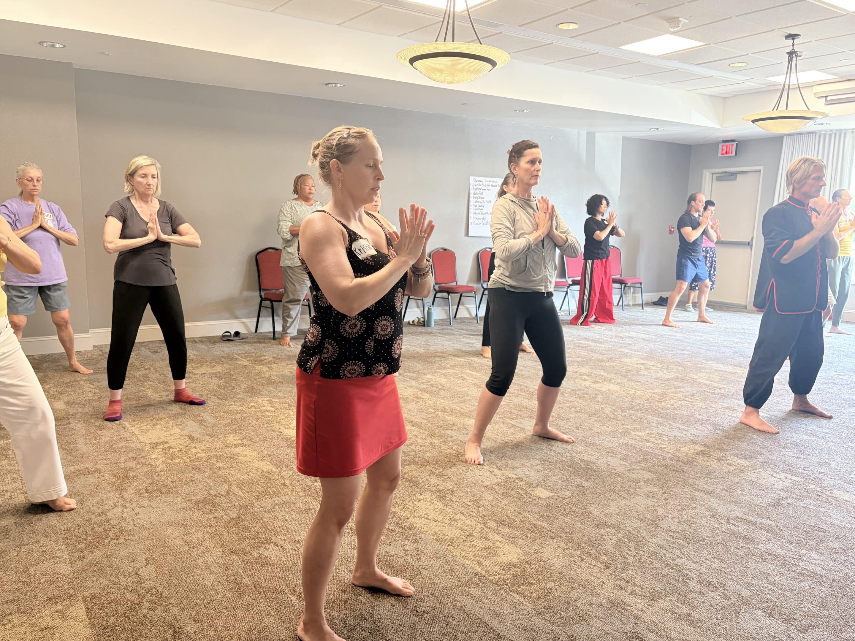 Live Weeklong Intensive. Becoming A Certified Qigong Instructor with David J. Coon, Medical Qigong Master.