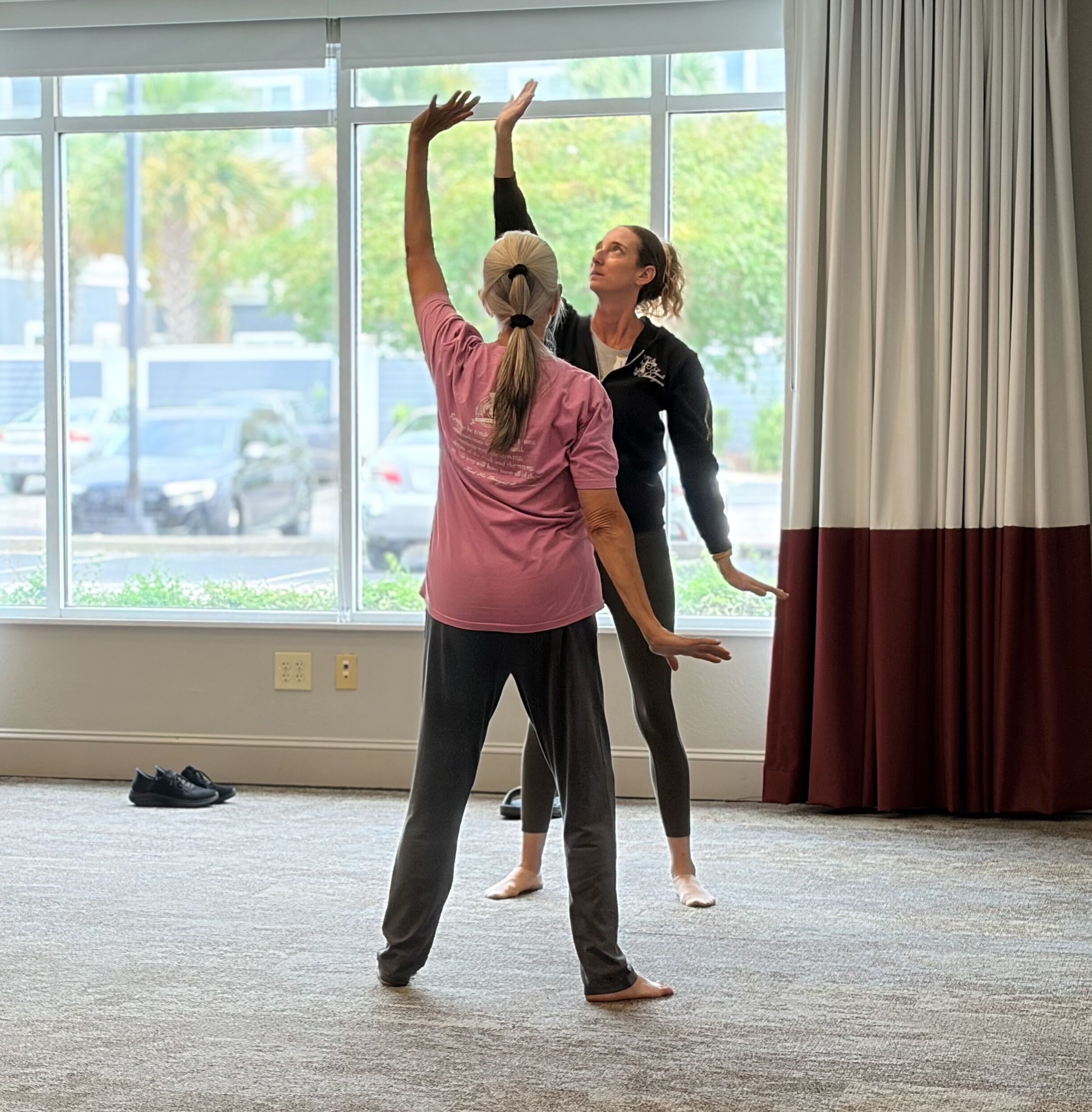 Live Weeklong Intensive. Becoming A Certified Qigong Instructor with David J. Coon, Medical Qigong Master.