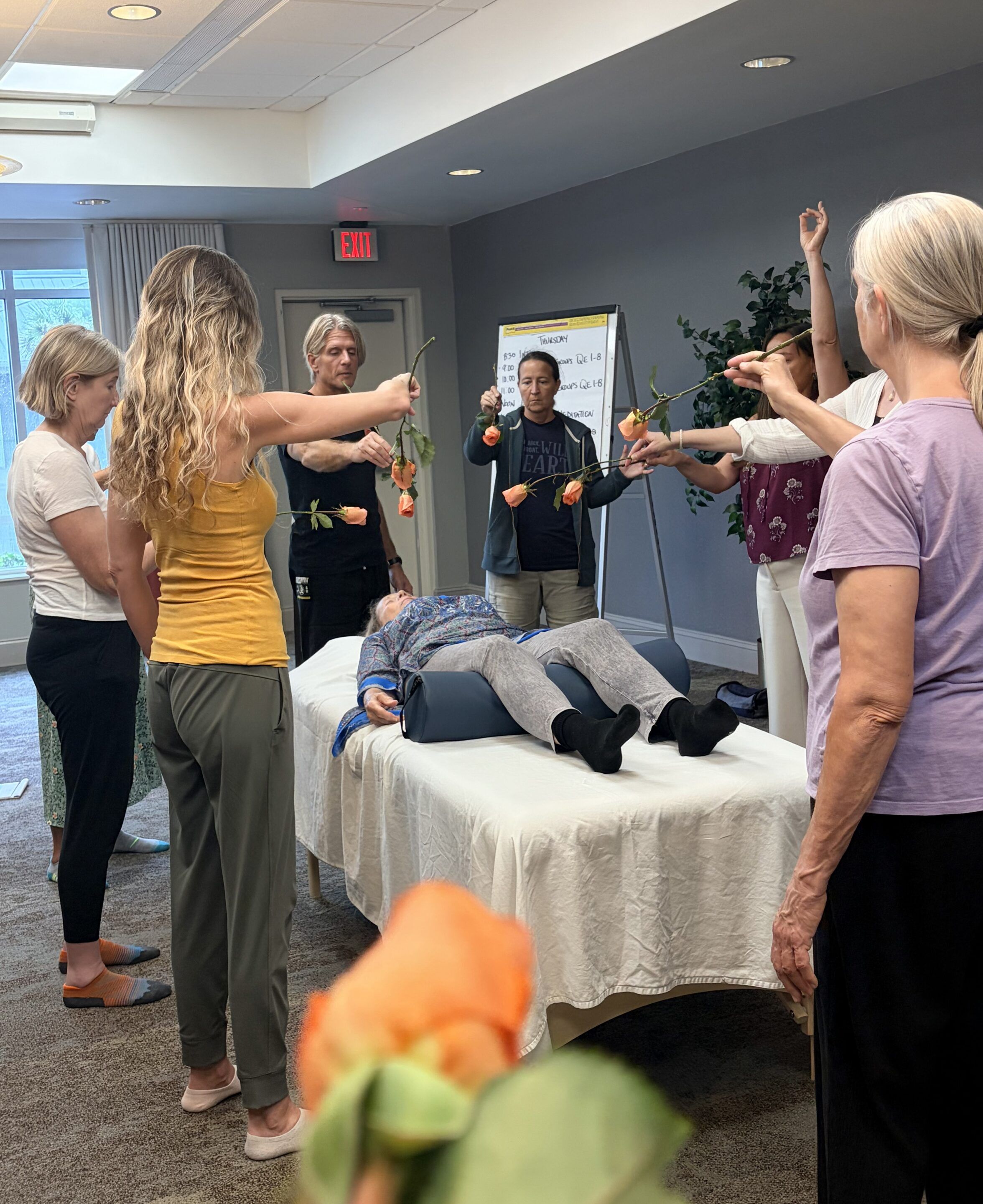 Live Weeklong Intensive. Becoming A Certified Qigong Instructor with David J. Coon, Medical Qigong Master.